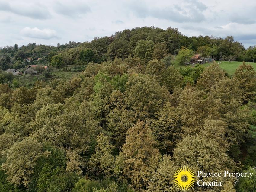 dji_fly_20240918_123624_0913_1726679277276_photo