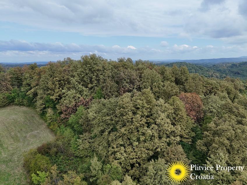 dji_fly_20240918_123704_0914_1726679276549_photo