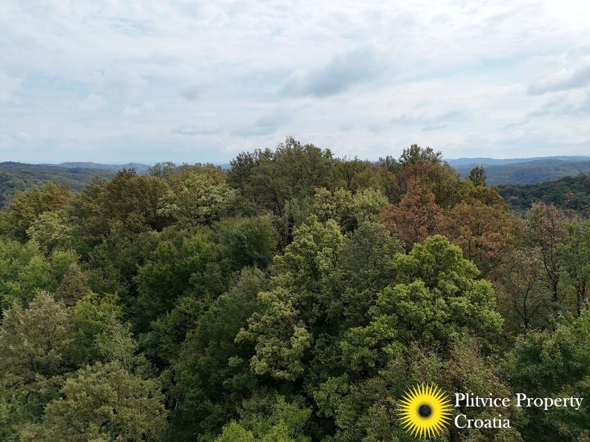 dji_fly_20240918_123730_0915_1726679275945_photo