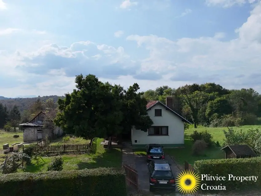 dji_fly_20240920_152938_0004_1727097497510_photo