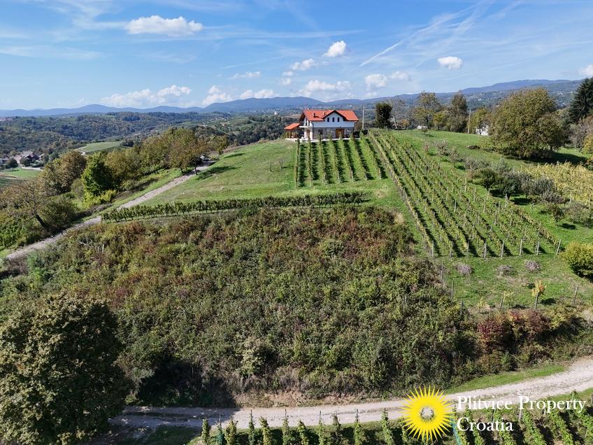 dji_fly_20240921_135648_0037_1727104639963_photo