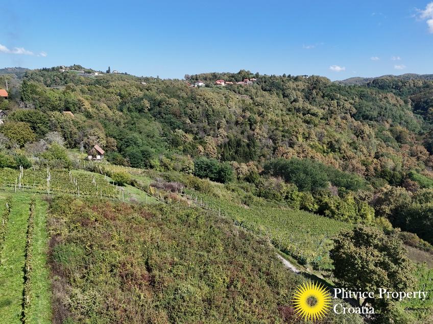 dji_fly_20240921_135724_0039_1727104638877_photo