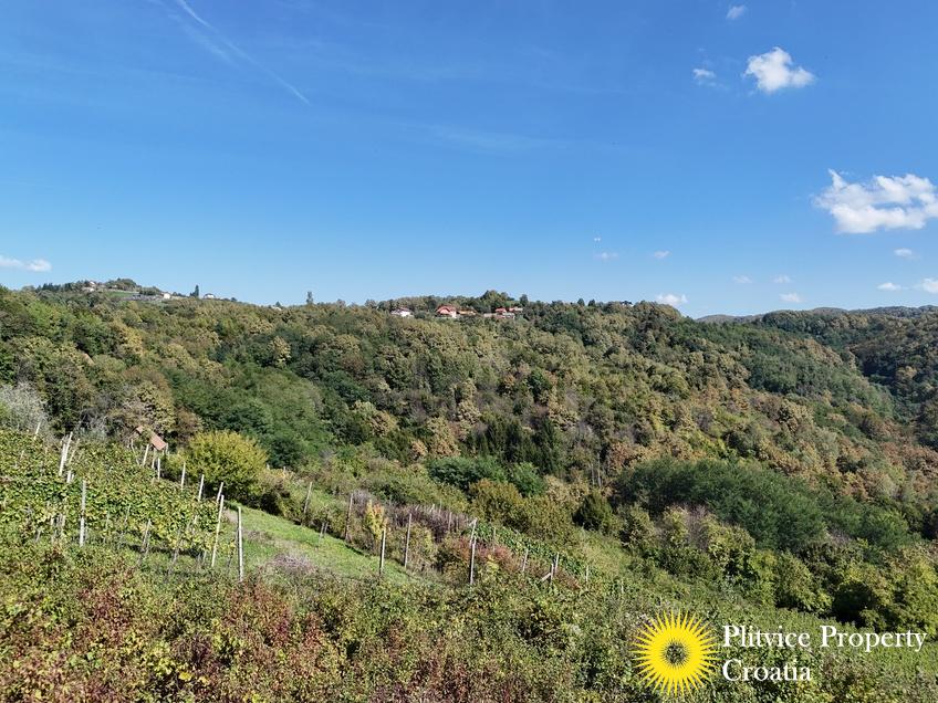 dji_fly_20240921_135750_0040_1727104638303_photo