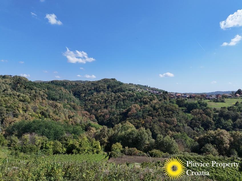 dji_fly_20240921_135752_0041_1727104637826_photo