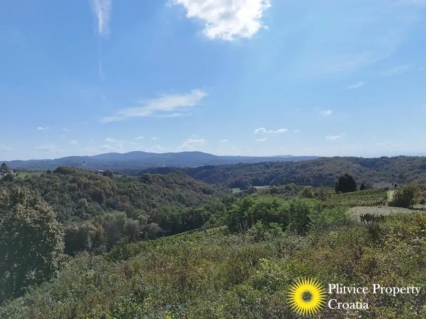 dji_fly_20240921_135800_0043_1727104637081_photo