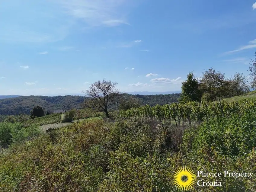 dji_fly_20240921_135802_0044_1727104636723_photo