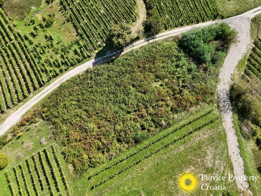 dji_fly_20240921_135834_0045_1727104636296_photo