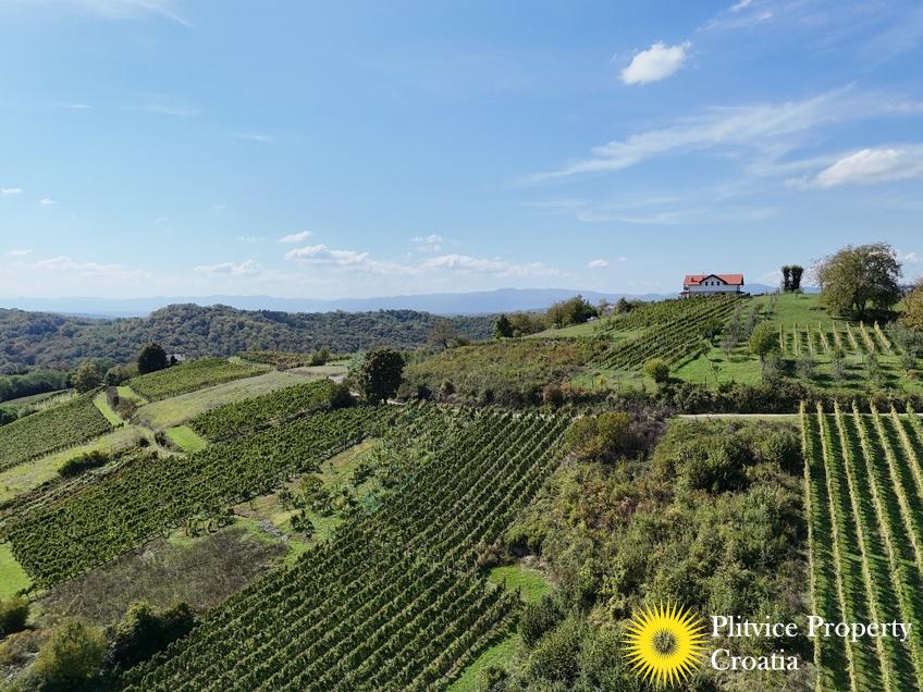 dji_fly_20240921_135926_0046_1727104635683_photo