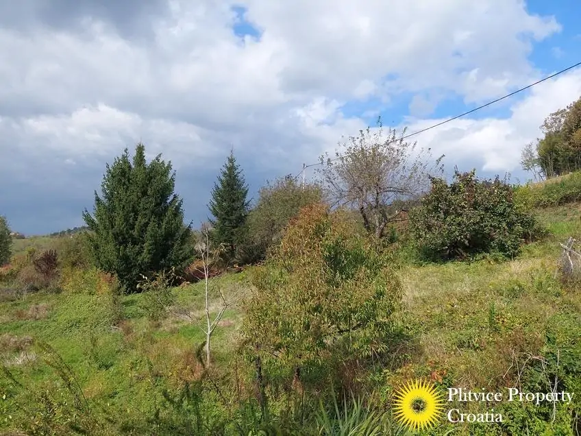 التدفق_IMG_20240926_134009_01_895