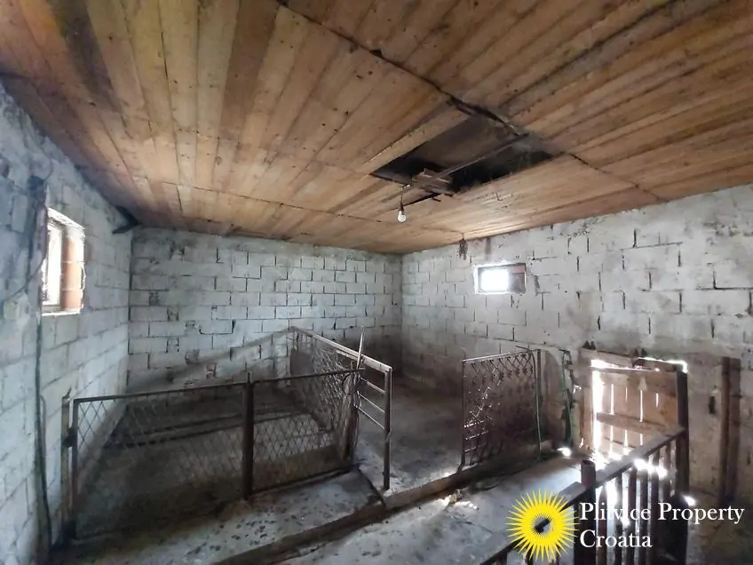 التدفق_IMG_20240926_135514_01_917