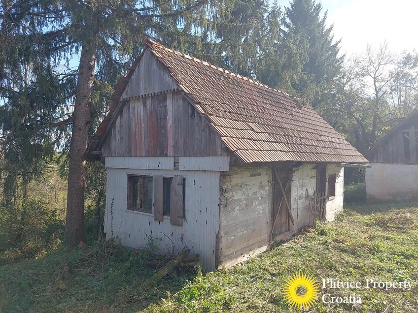 التدفق_IMG_20241008_141750_01_994