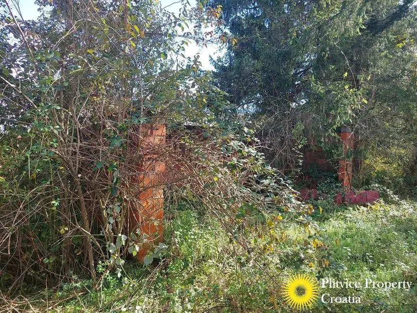 التدفق_IMG_20241008_141828_01_996