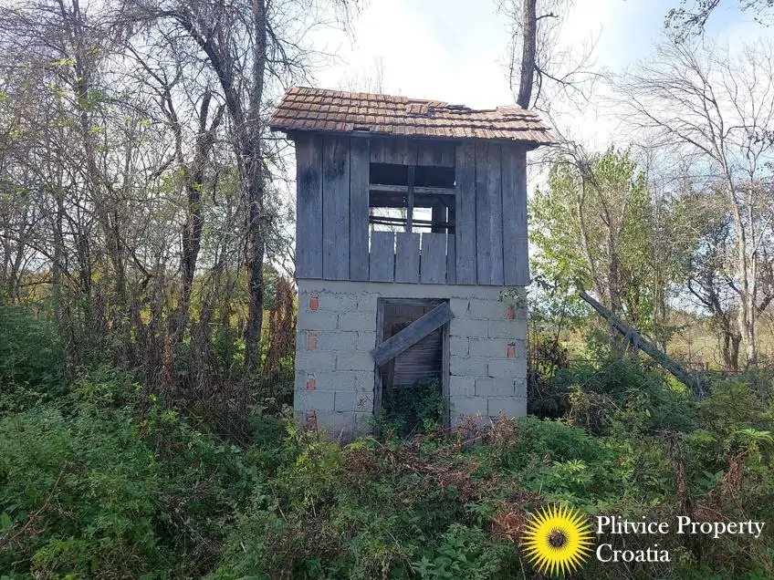 التدفق_IMG_20241008_141845_01_997