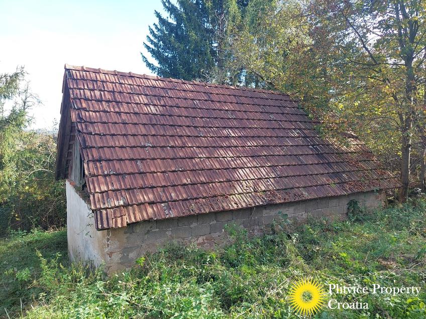 التدفق_IMG_20241008_141852_01_998