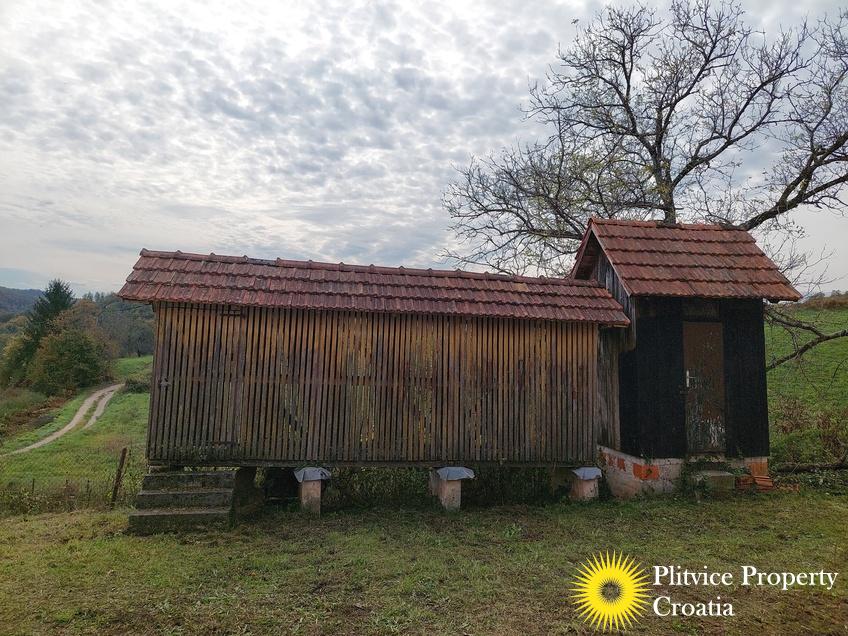 Flow_IMG_20241014_140022_01_044