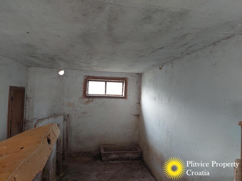 Flow_IMG_20241014_140755_01_061