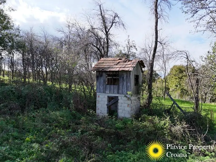 dji_fly_20241008_140920_0265_1728477514339_photo