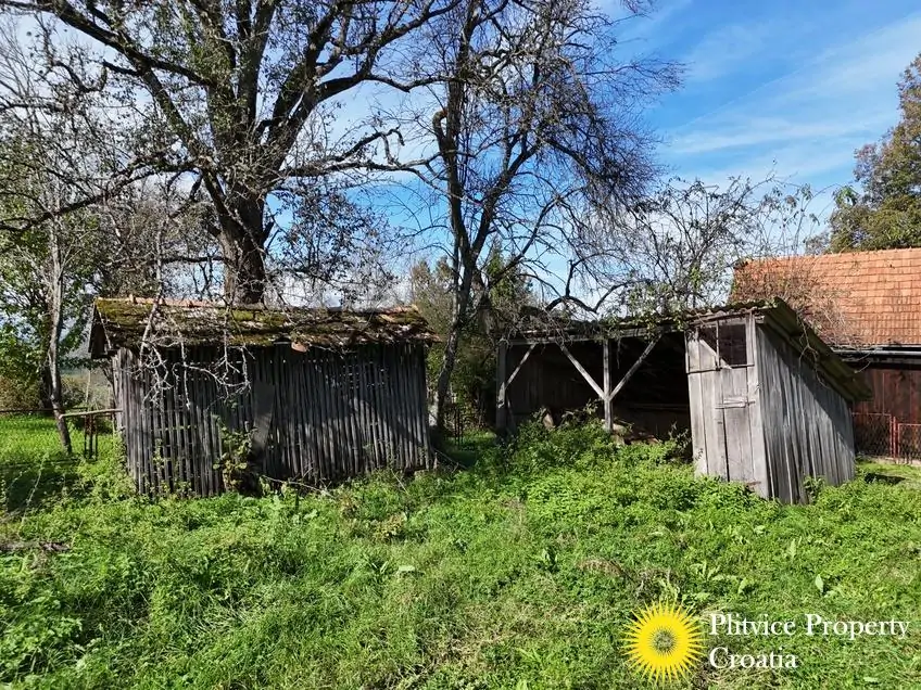 dji_fly_20241008_140932_0266_1728477514106_photo