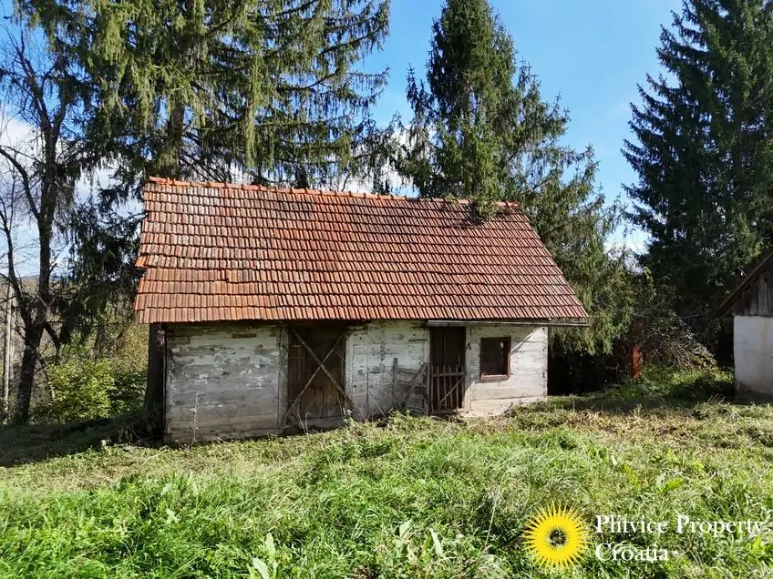 dji_fly_20241008_141004_0268_1728477513138_photo