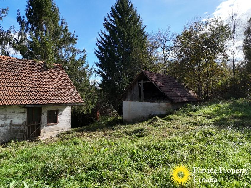 dji_fly_20241008_141006_0269_1728477513134_photo