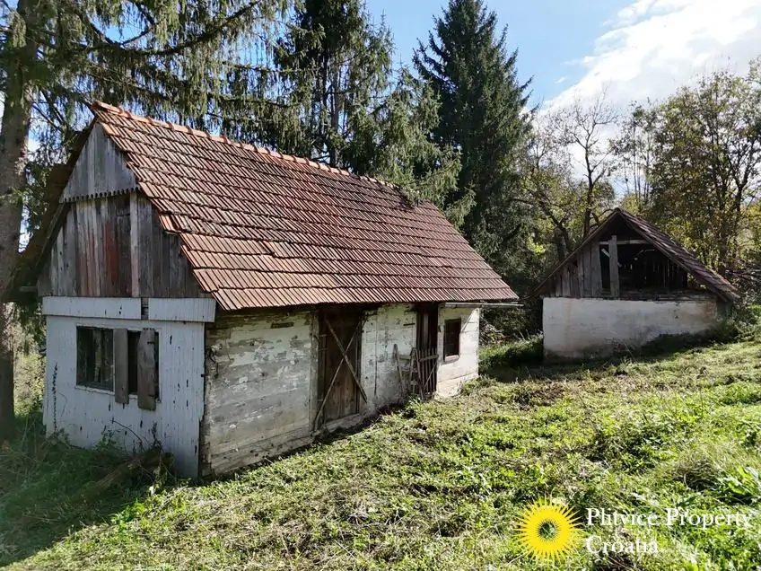 dji_fly_20241008_141024_0270_1728477512849_photo