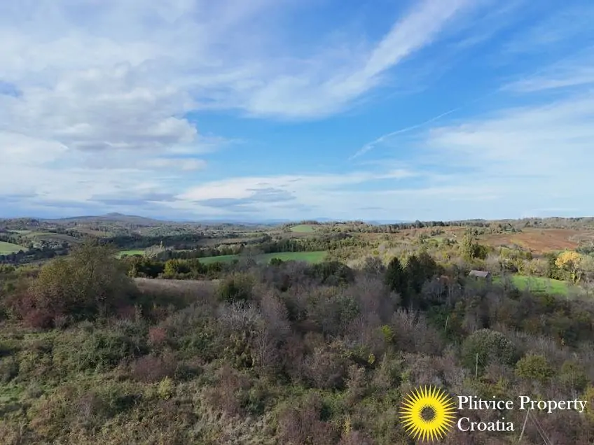 dji_fly_20241008_141126_0272_1728477511053_photo