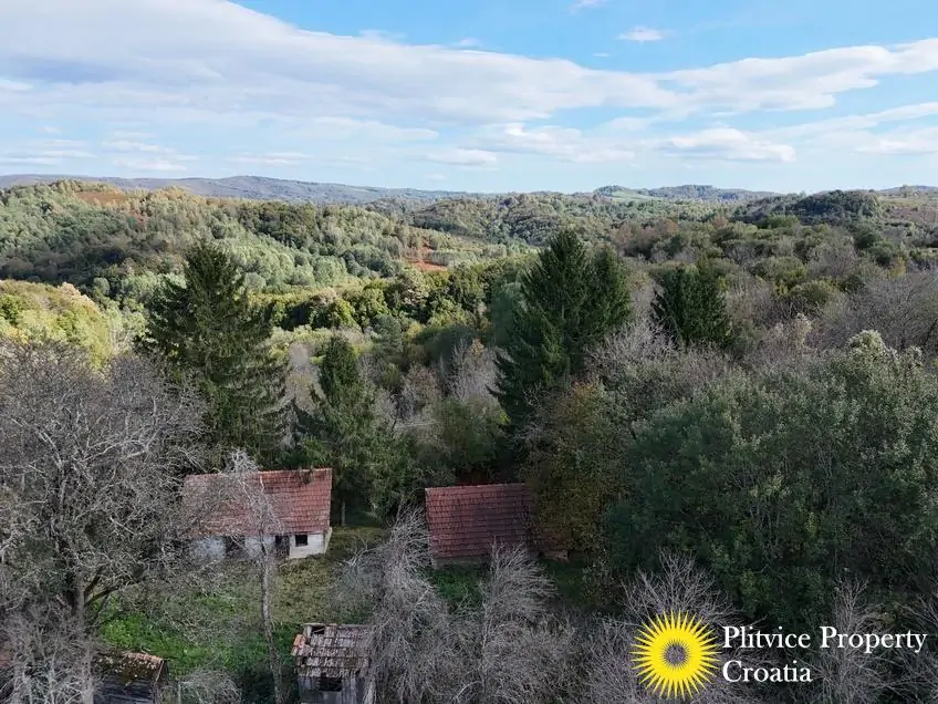 dji_fly_20241008_141412_0276_1728477502745_photo