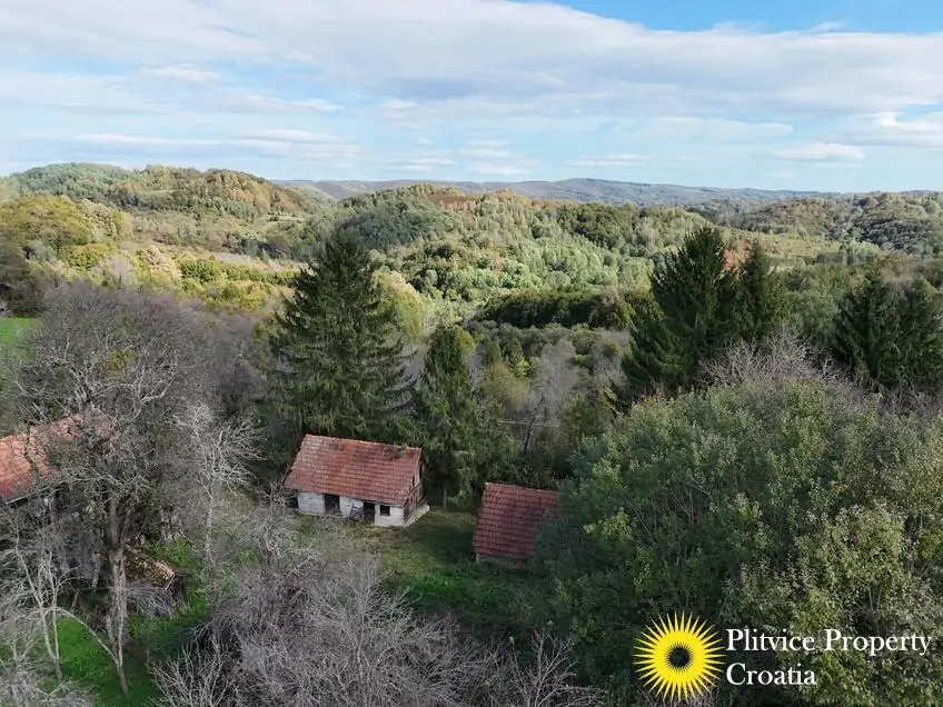 dji_fly_20241008_141422_0277_1728477502546_photo