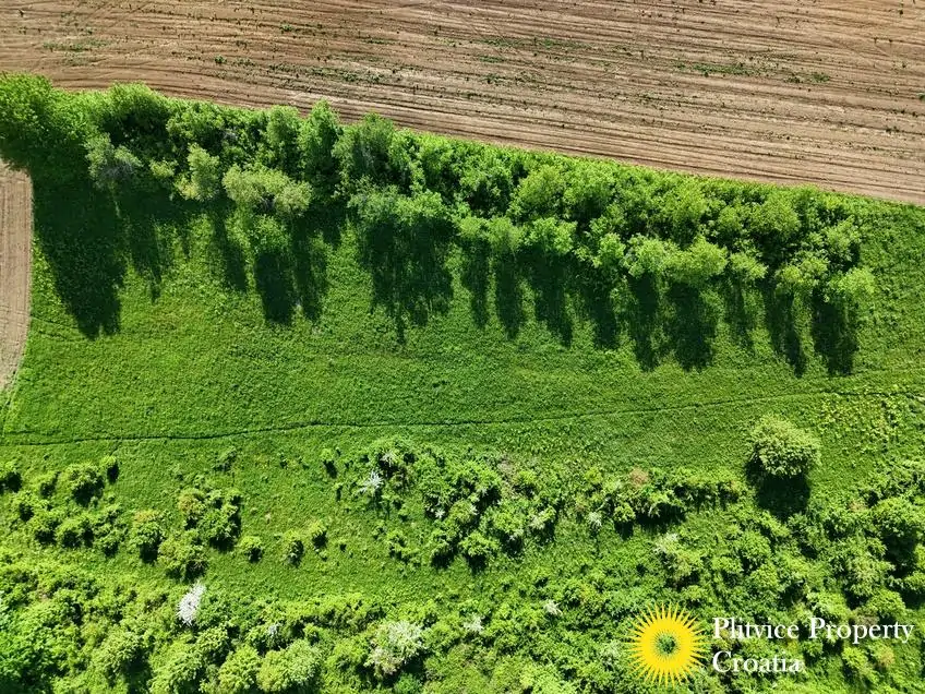 dji_fly_20250513_165228_0249_1747282888183_photo