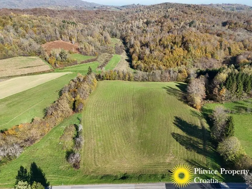 dji_fly_20241031_124146_0399_1730450454715_photo