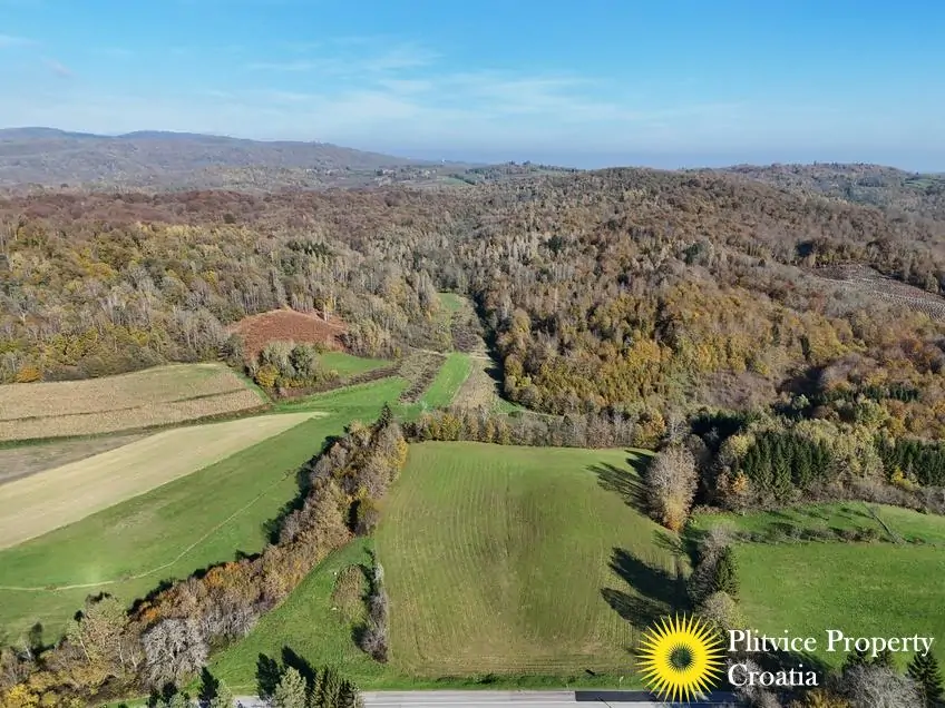 dji_fly_20241031_124210_0400_1730450454200_photo