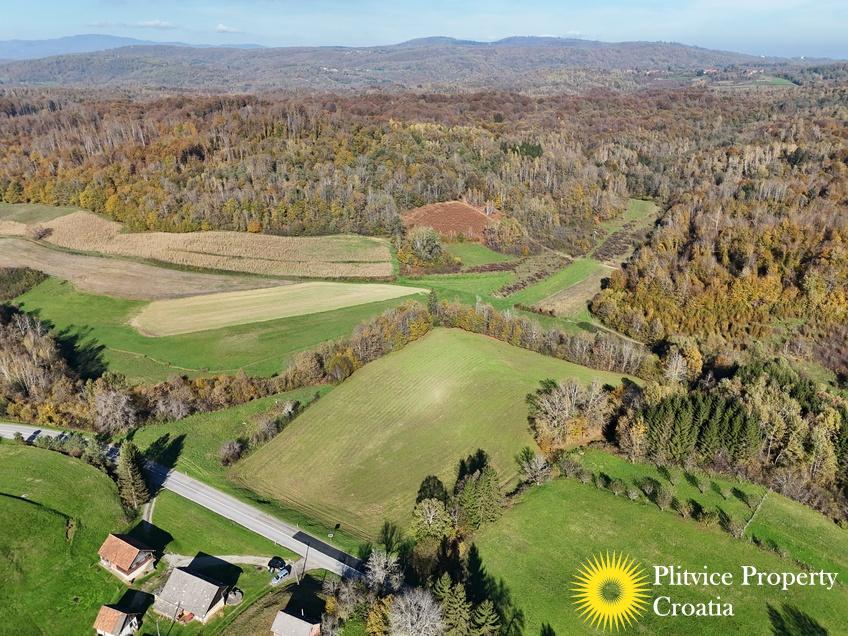 dji_fly_20241031_124236_0401_1730450453685_photo