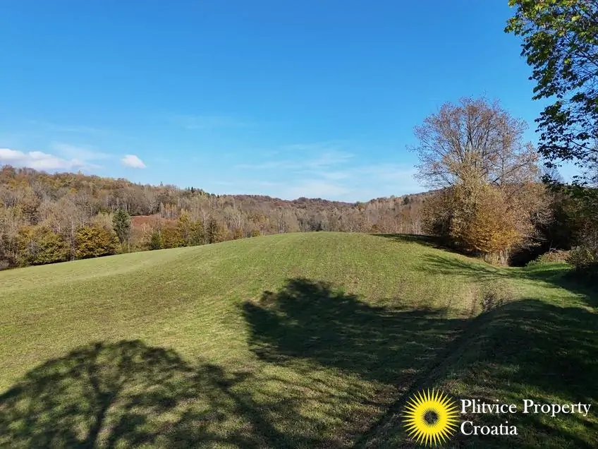 dji_fly_20241031_124542_0408_1730450446752_photo