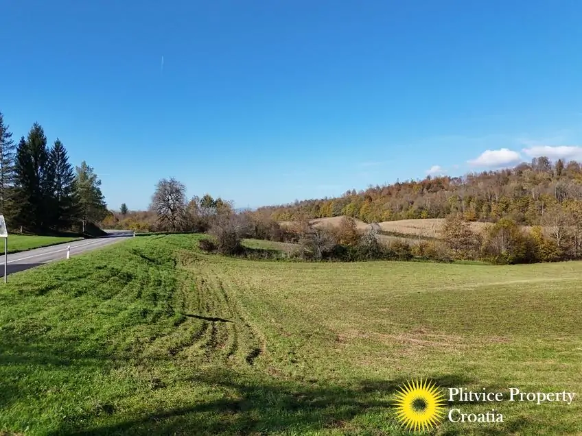 dji_fly_20241031_124600_0409_1730450446295_photo