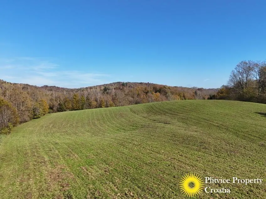 dji_fly_20241031_124616_0410_1730450445906_photo