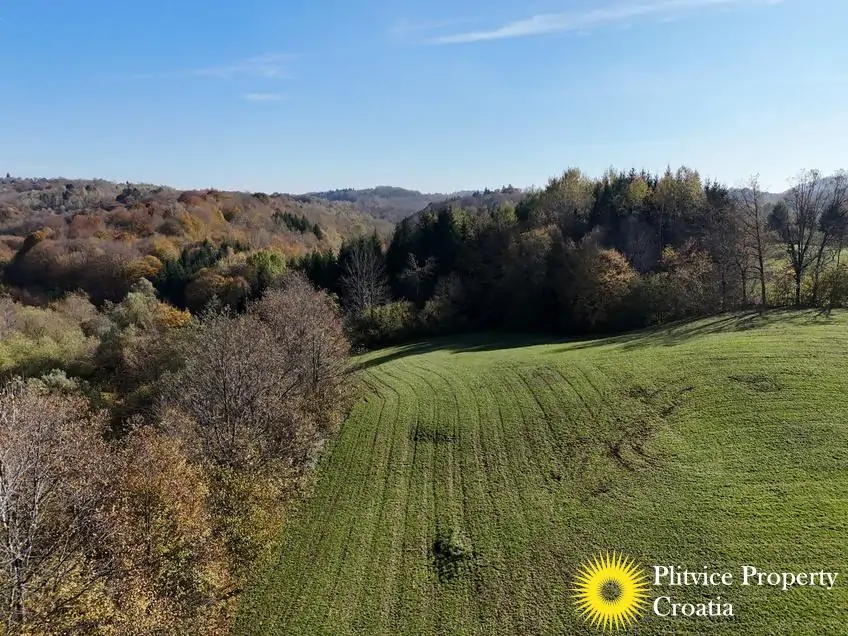 dji_fly_20241031_124640_0411_1730450445457_photo