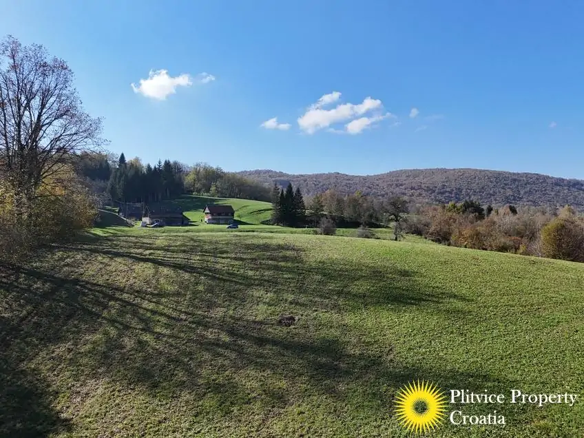 dji_fly_20241031_124718_0414_1730450443706_photo