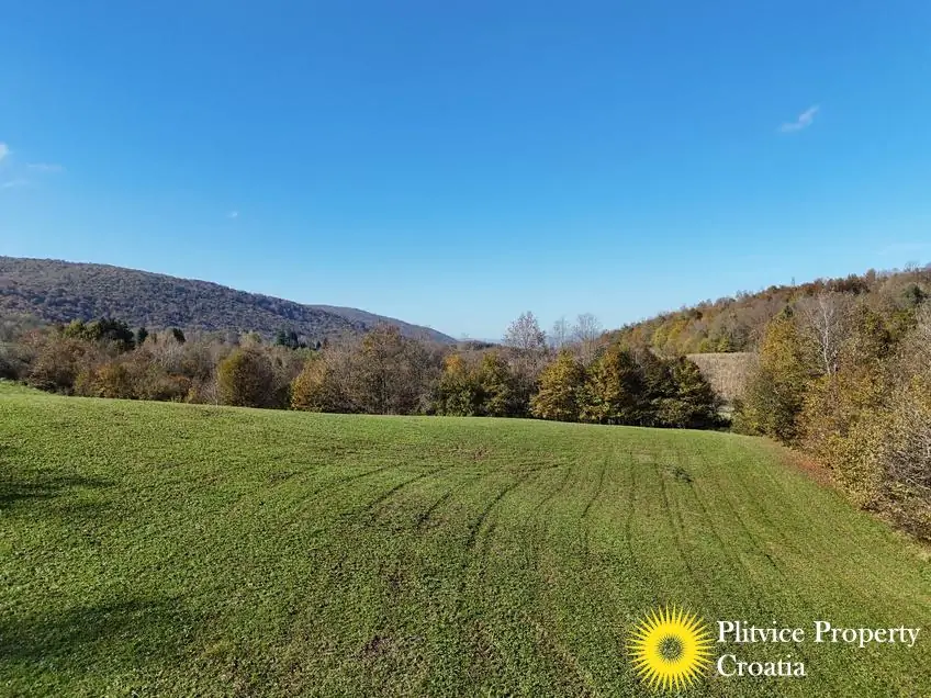 dji_fly_20241031_124720_0415_1730450442626_photo