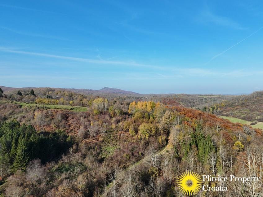 dji_fly_20241116_100914_0500_1732019137891_photo