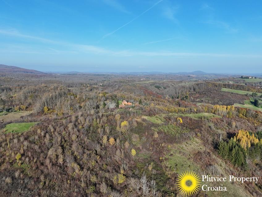 dji_fly_20241116_101038_0504_1732019136135_photo