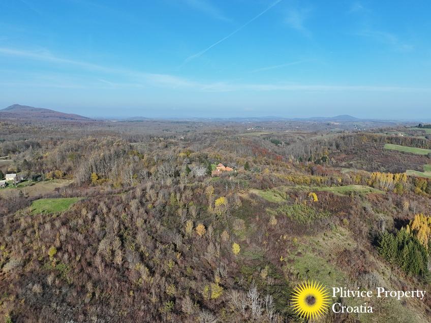 dji_fly_20241116_101040_0505_1732019135748_photo