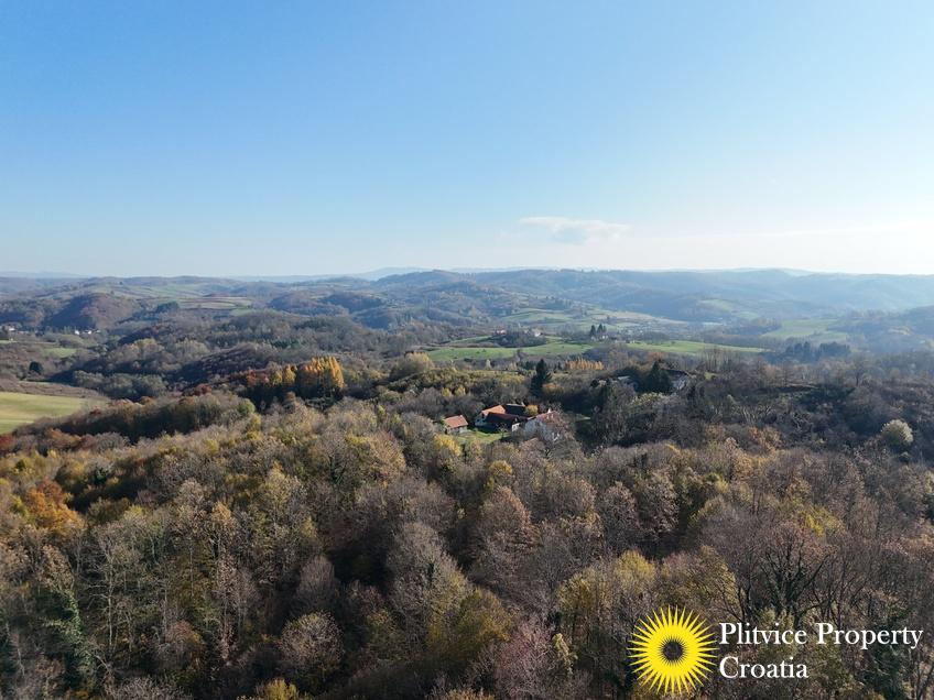 dji_fly_20241116_101220_0508_1732019129182_photo