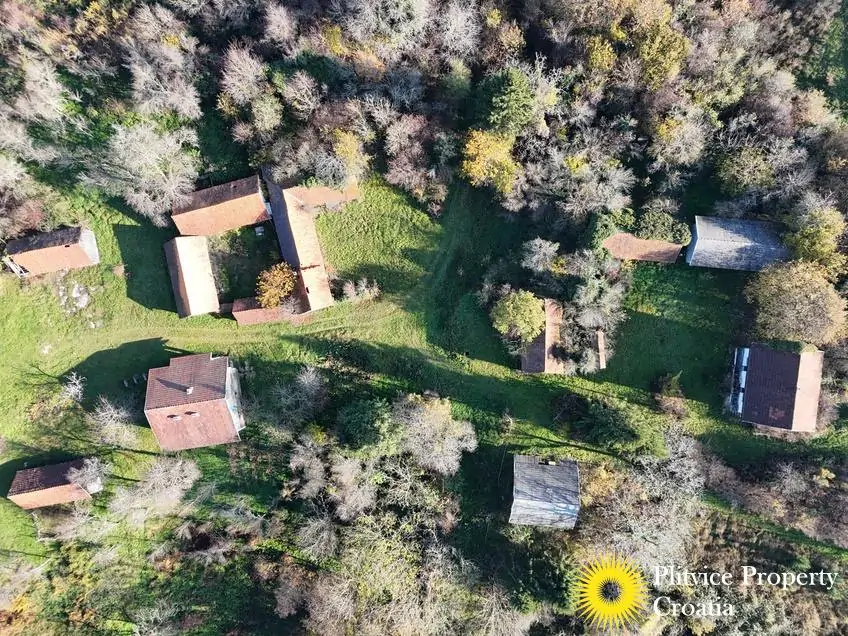 dji_fly_20241116_101344_0511_1732019126471_photo