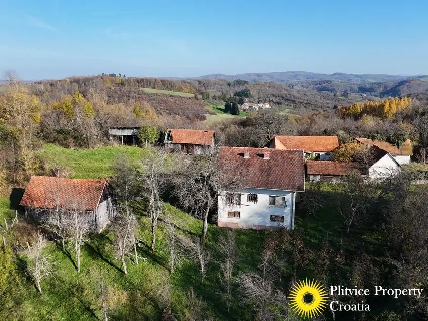 dji_fly_20241116_103000_0532_1732019089842_photo