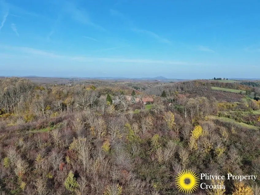 dji_fly_20241116_103246_0539_1732019082661_photo