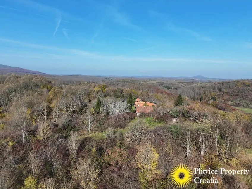 dji_fly_20241116_103258_0540_1732019082278_photo