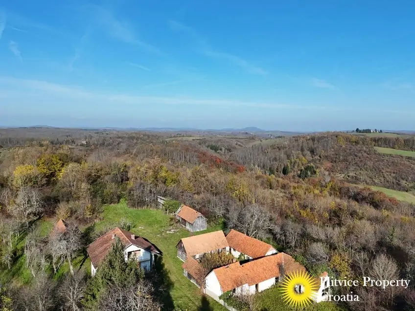 dji_fly_20241116_103318_0542_1732019081413_photo