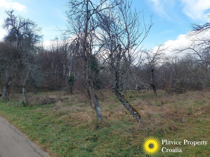 Tijek_IMG_20241219_124826_01_423