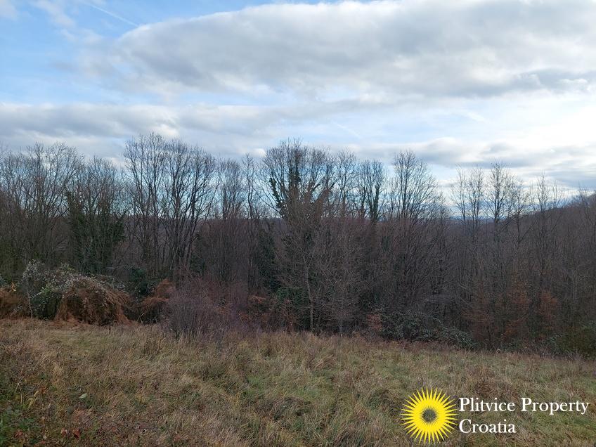 Tijek_IMG_20241219_124920_01_424