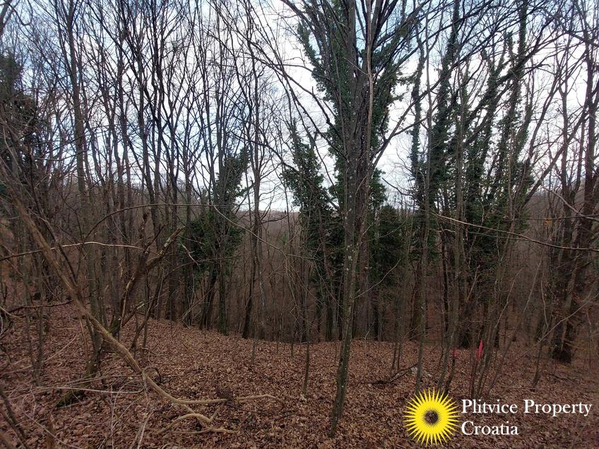 Tijek_IMG_20241219_125008_01_425